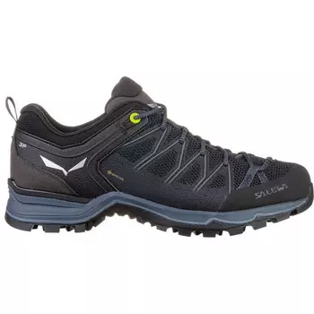 Мужские кроссовки MTN Trainer Lite GTX Salewa, черный