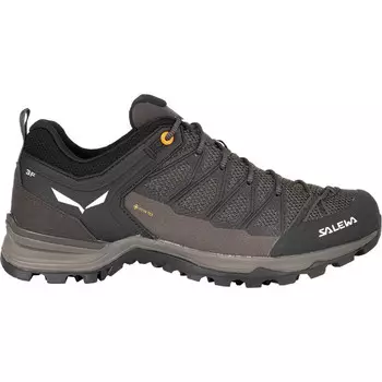 Мужские кроссовки MTN Trainer Lite GTX Salewa, коричневый