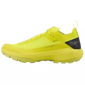 Мужские кроссовки Vertex Outdoor Performance с низким верхом, желто-черный Arcteryx