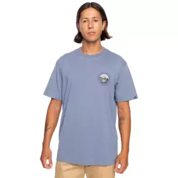 Мужские пейзажи Quiksilver футболка, серый