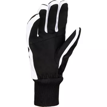 Мужские перчатки Move Daehlie, черный