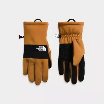 Мужские перчатки The North Face Sierra Etip, коричневый