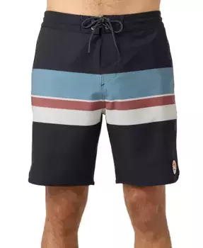 Мужские плавки Cruzer Stripe Scallop 18 O'Neill, мультиколор