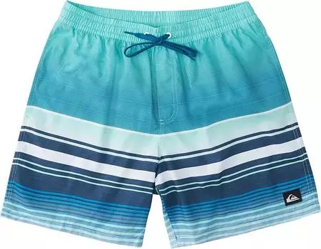 Мужские плавки для волейбола Quiksilver Swell Vision 17 дюймов