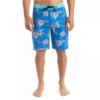 Мужские плавки Quiksilver Everyday Straight 20", синий