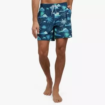 Мужские плавки-шорты 6,5 дюймов, легкие, однотонные Quiksilver, синий