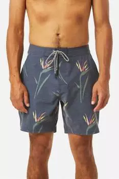 Мужские пляжные шорты Katin, цвет black wash