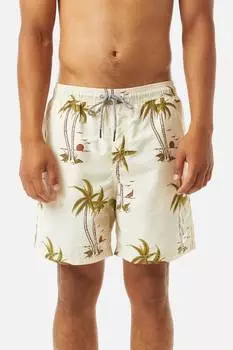 Мужские пляжные шорты Katin, цвет wool