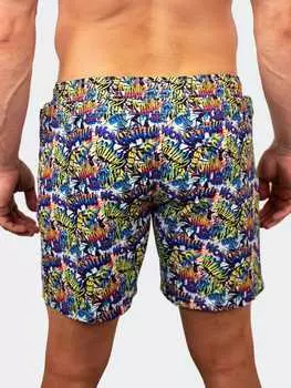 Мужские пляжные шорты MACEOO, цвет multi