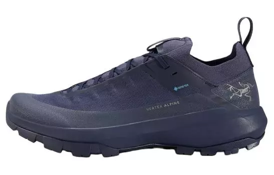 Кроссовки походные мужские Arcteryx Vertex GTX, темно-синий