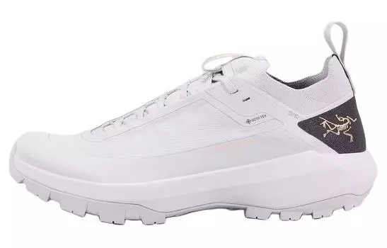 Кроссовки походные мужские Arcteryx Vertex GTX, серый