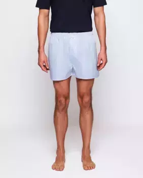 Мужские полосатые хлопковые боксеры Mirto, светло-голубой