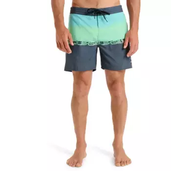 Мужские повседневные 16-дюймовые плавательные шорты Quiksilver, зеленый