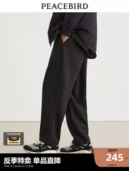 Мужские повседневные брюки Peacebird, черный