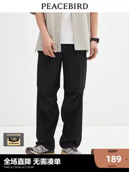 Мужские повседневные брюки Peacebird износостойкие, черный