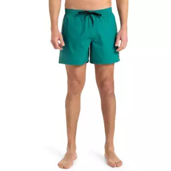 Мужские повседневные однотонные 15-дюймовые плавательные шорты Quiksilver, зеленый