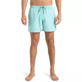 Мужские повседневные однотонные 15-дюймовые плавательные шорты Quiksilver, голубой