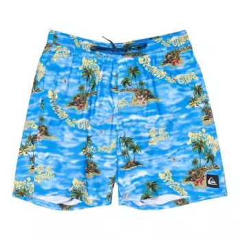 Мужские повседневные прямые шорты для плавания Quiksilver 17 дюймов, синий