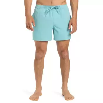 Мужские повседневные шорты для плавания Flex 15" Quiksilver, голубой