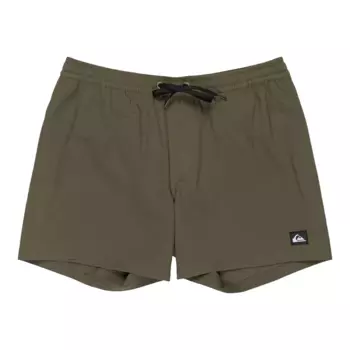 Мужские повседневные шорты для плавания Flex 15" Quiksilver, коричневый