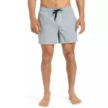 Мужские повседневные шорты для плавания Flex 15" Quiksilver, серый