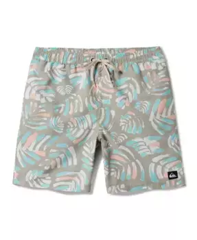 Мужские повседневные шорты для волейбола Everyday Mix Volley 17 Nb Quiksilver, зеленый