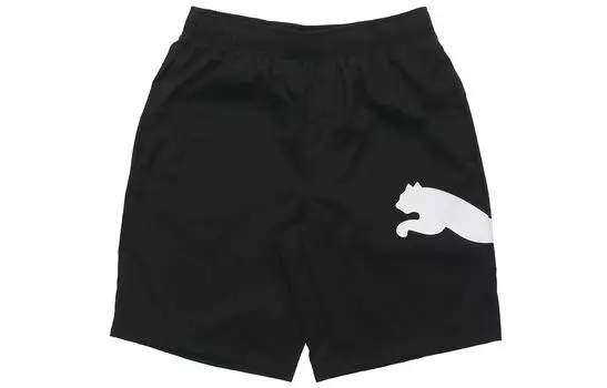 Мужские повседневные шорты Puma, Черный