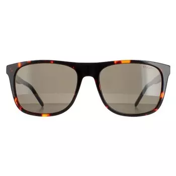 Мужские прямоугольные мужские кроссовки Hugo by Hugo Boss серо-гавана hg 1194/s Hugo Boss, коричневый