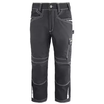 Мужские рабочие брюки Eisenhower Extreme Dickies, серый
