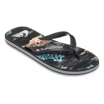 Мужские шлепанцы Molokai Art 25 Quiksilver, черный