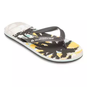 Мужские шлепанцы Molokai Art 25 Quiksilver, зеленый