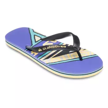 Мужские шлепанцы Quiksilver Molokai Screen, оранжевый