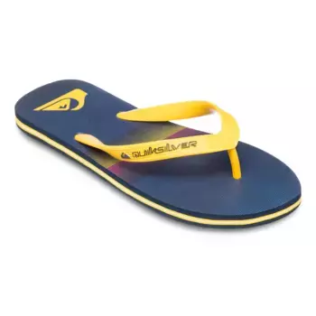 Мужские шлепанцы Quiksilver Molokai Stripe 25, синий