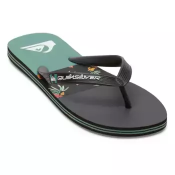 Мужские шлепанцы Quiksilver Molokai Stripe, черный/зеленый