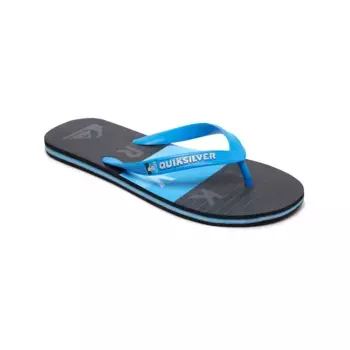 Мужские шлепанцы Quiksilver Molokai Word Block, синий