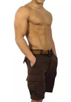 Мужские шорты BDU Dasht normani, коричневый