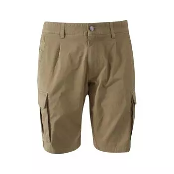 Мужские шорты-бермуды из бежевого хлопка Zee Lane