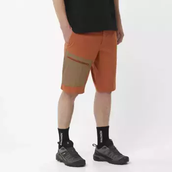 Мужские шорты-бермуды Salomon Outerpath Utility, коричневый