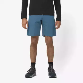 Мужские шорты-бермуды Salomon Wayfarer Ease, синий