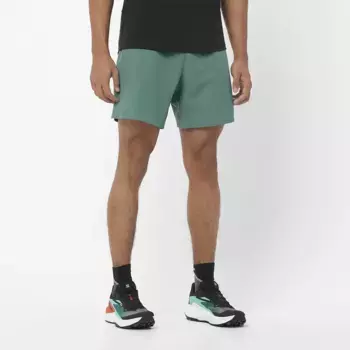 Мужские шорты Cross 7" Salomon, серый