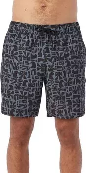 Мужские шорты для плавания O'Neill Stencil Volley, черный