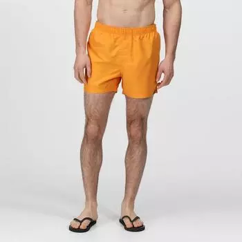 Мужские шорты для плавания Wayde - оранжевый REGATTA, цвет orange
