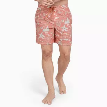 Мужские шорты для плавания волейбол с пляжным принтом Quiksilver 6,5 дюйма, цвет Canyon Clay