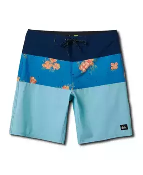 Мужские шорты для серфинга Surfsilk Panel 20 Quiksilver, синий