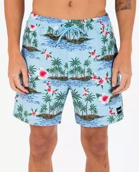 Мужские шорты для волейбола Hurley Cannonball , голубой