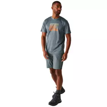 Мужские шорты Eldes Regatta, серый