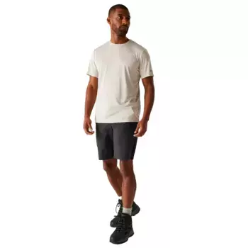 Мужские шорты Eldes Regatta, серый/черный