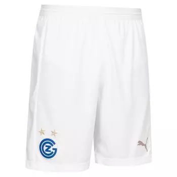 Мужские шорты Grasshopper Club Zurich PUMA