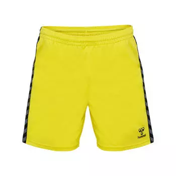 Мужские шорты Hmlauuthentic Pl для мультиспорта с технологией Beecool HUMMEL, цвет gelb