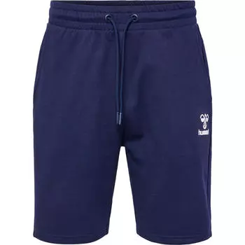 Мужские шорты Hmlicons Regular для спорта и отдыха HUMMEL, цвет blau